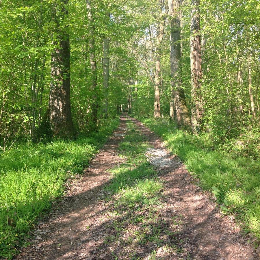 Le Rucher Bois-Normand-près-Lyre Exterior foto